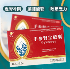 手参肾宝胶囊